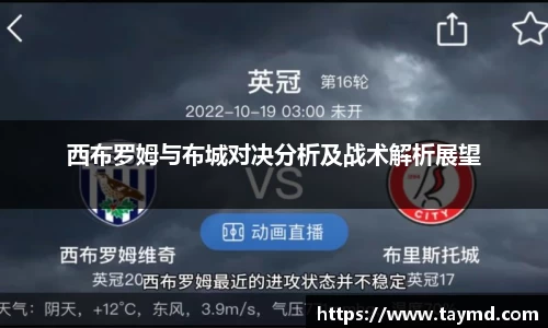 XBET星投官方网站